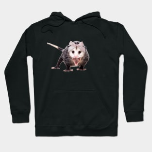 Coquette raccoon Hoodie